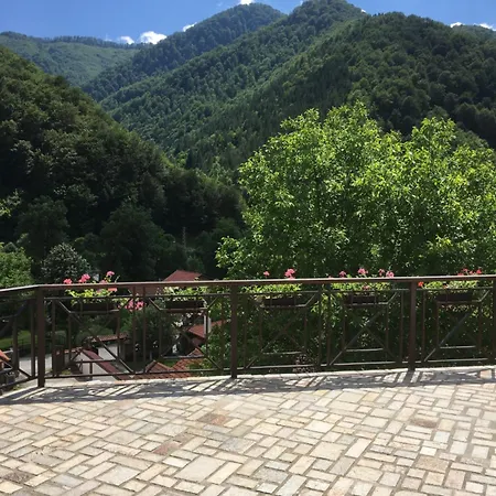 The Terraces Pensiune Ribarița